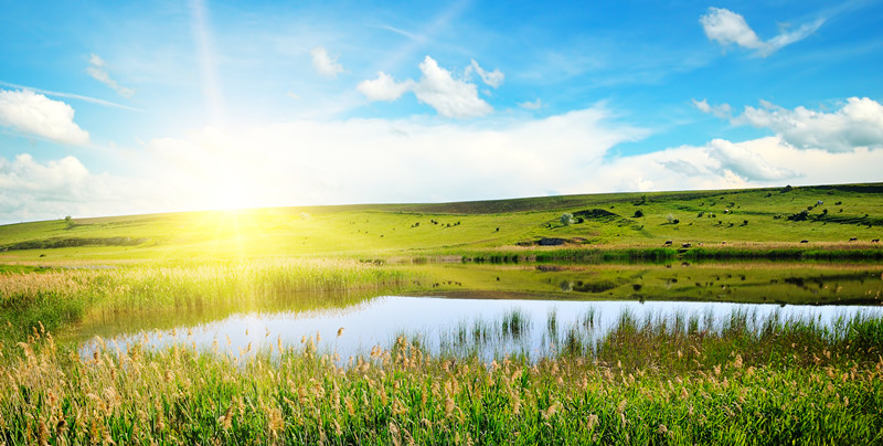 1670924540563189.jpg 一抹陽光1_副本.jpg